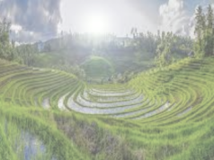 農業こそベンチャー企業が面白い